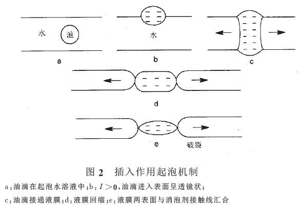 插入作用氣泡機制.jpg