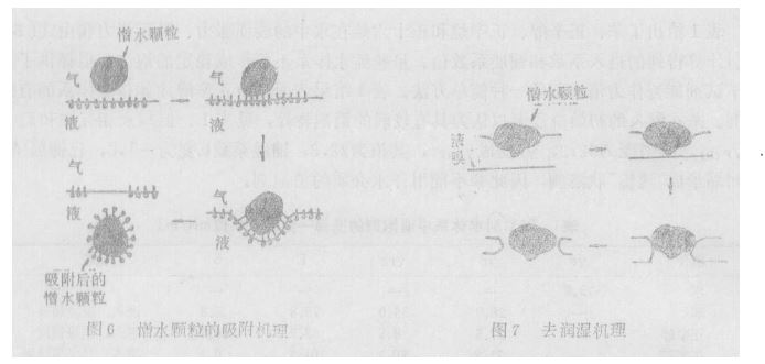 圖6、7.JPG
